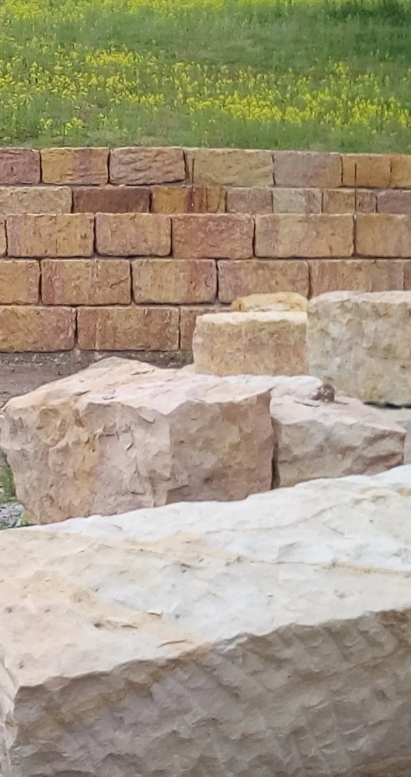 elbe Sandstein-Rohblöcke und fertig gesetzte Sandstein-Mauersteine in Stützmauer auf Baustelle – Material und Einbausituation